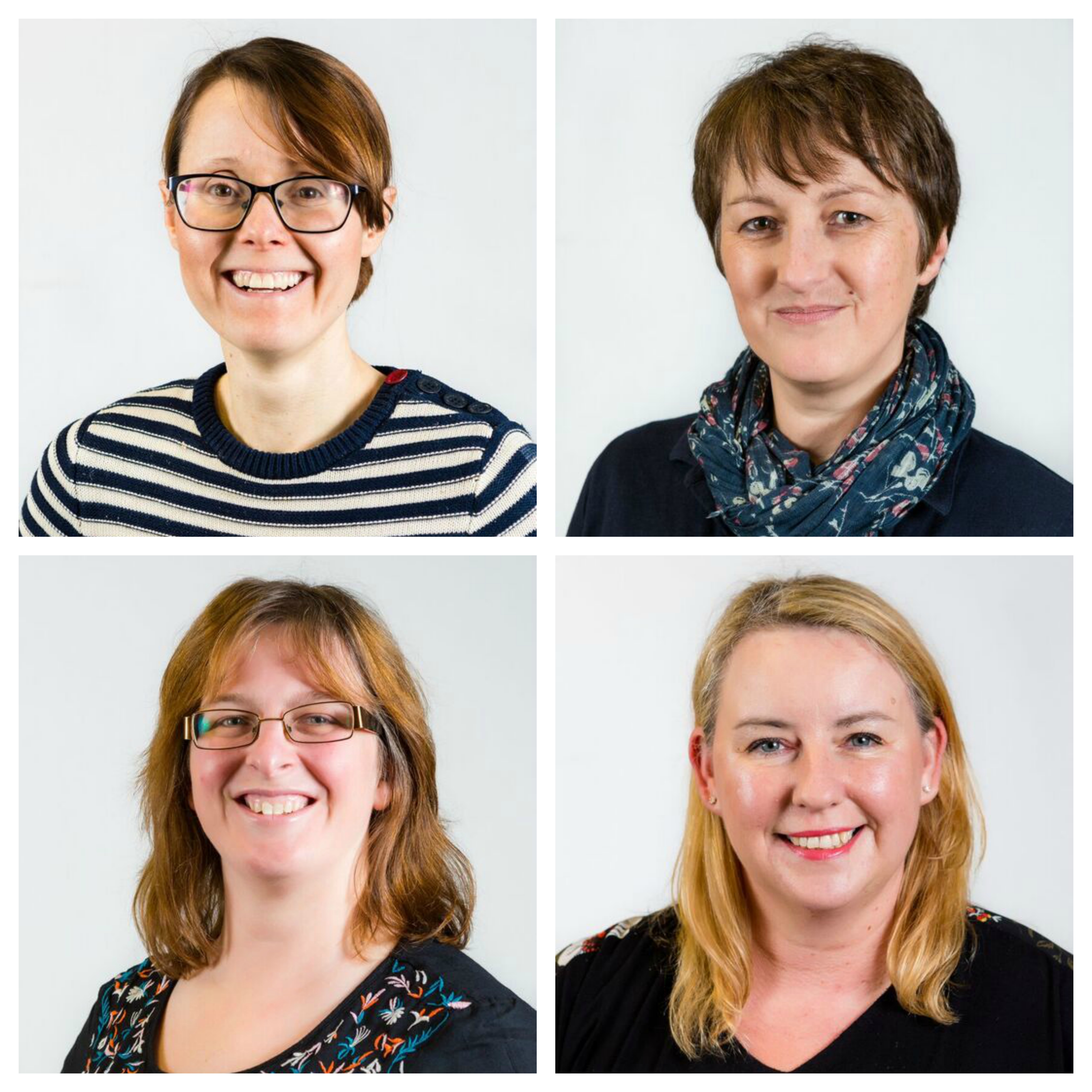 Swansea University Medical School healthcare professionals